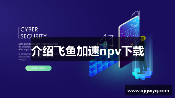 介绍飞鱼加速npv下载